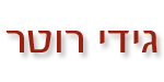גידי רוטר שירותי רכב - שיפורים לרכב